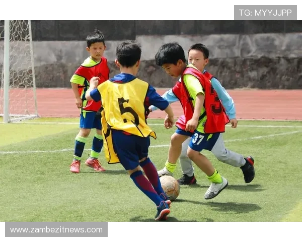 B体育滚球盘常见问题解答及解决方案帮助用户轻松应对投注难题