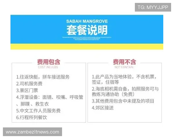 沙巴买球下单平台推荐与选择指南，帮助新手快速入门高效投注